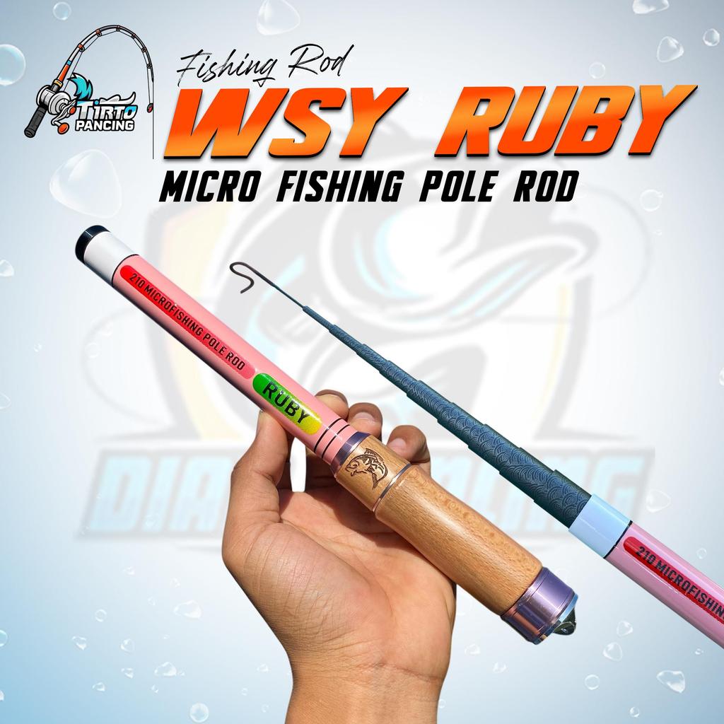 Pancing Joran Tegek WSY RUBY Hard Action Bahan Carbon High Quality Panjang Ruas 25cm