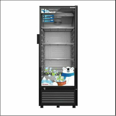 Showcase Sharp SCH-210FS