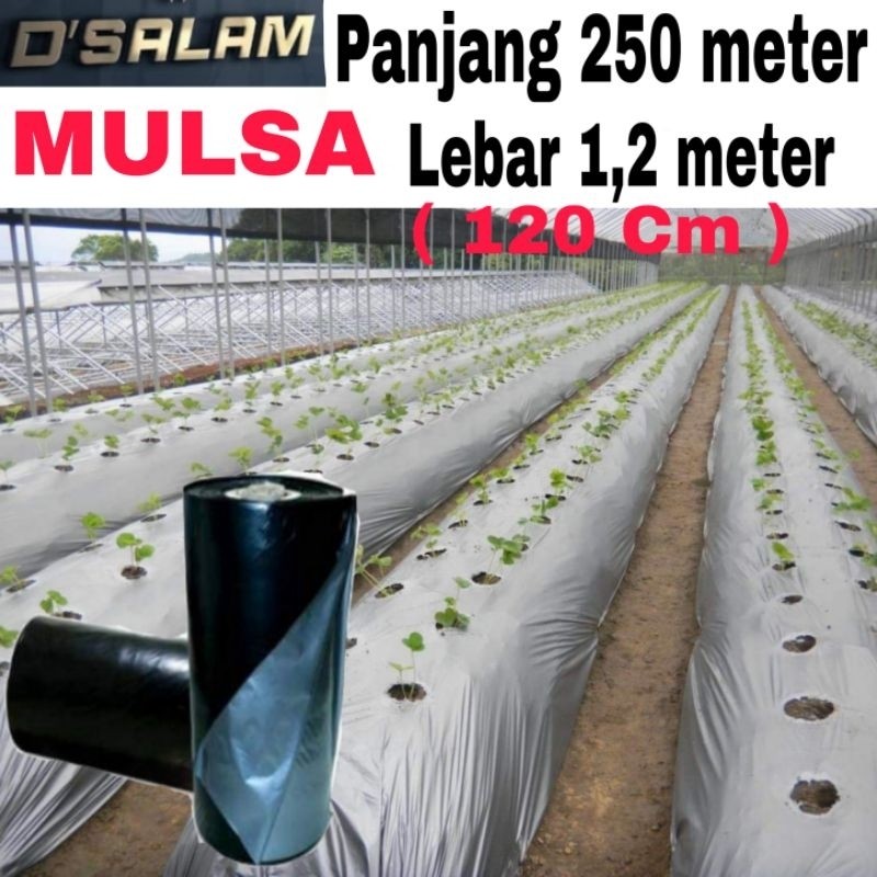 PLASTIK MULSA ( 1 ROLL ) panjang 250 meter * Lebar 120cm (1,2meter)