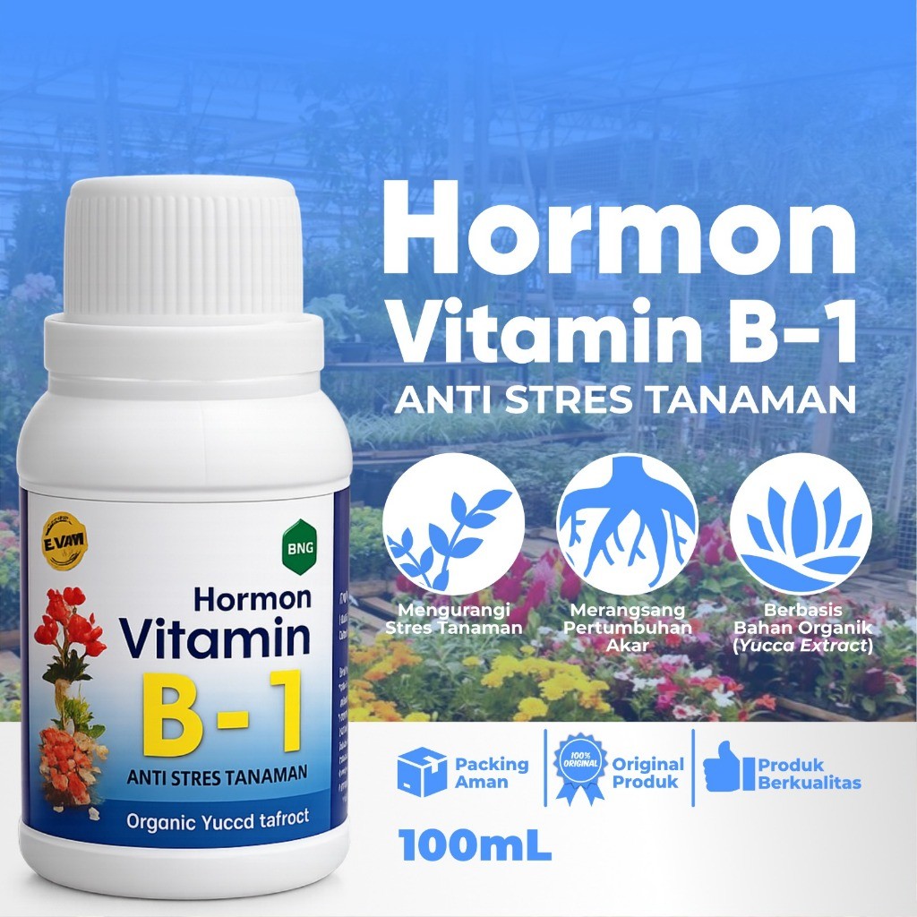 HORMON VITAMIN B-1  Anti Stres Tanaman | Perangsang Akar