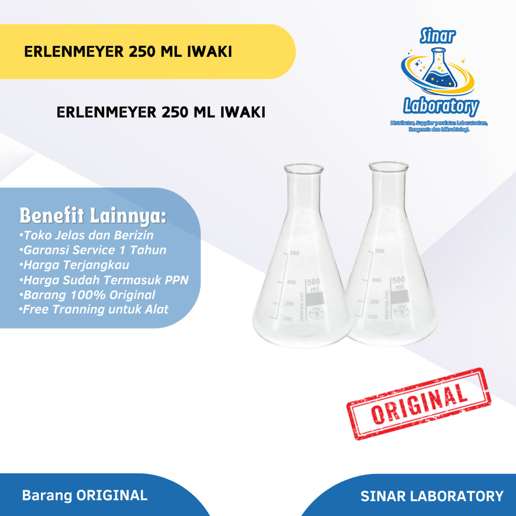 Erlenmeyer 250 ml IWAKI
