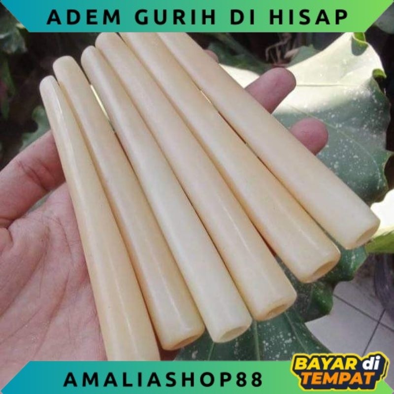 once pipa tulang unta adem pulen super