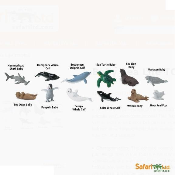 Safari Ltd. - Baby Sealife