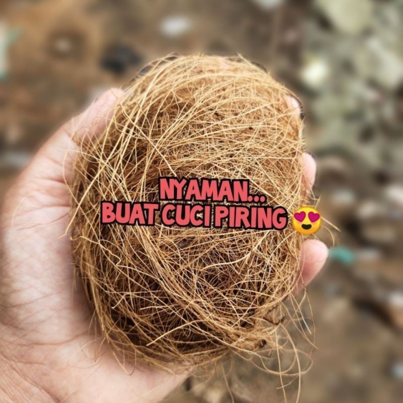 SABUT CUCI PIRING JADUL SABUT KELAPA  (Sorvernirshop)