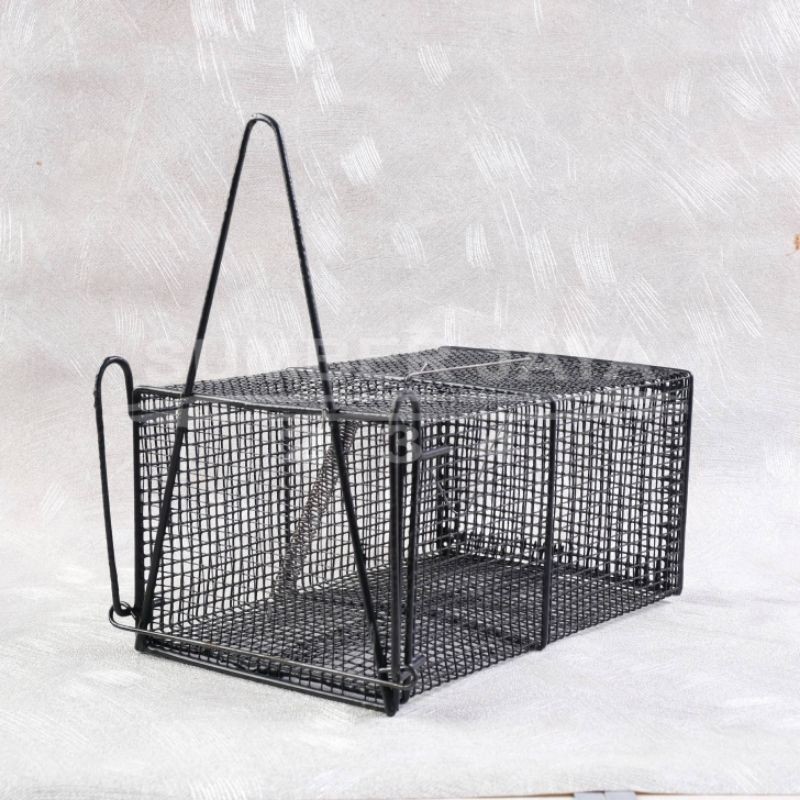 Jebakan Tikus / Perangkap Tikus Tebal