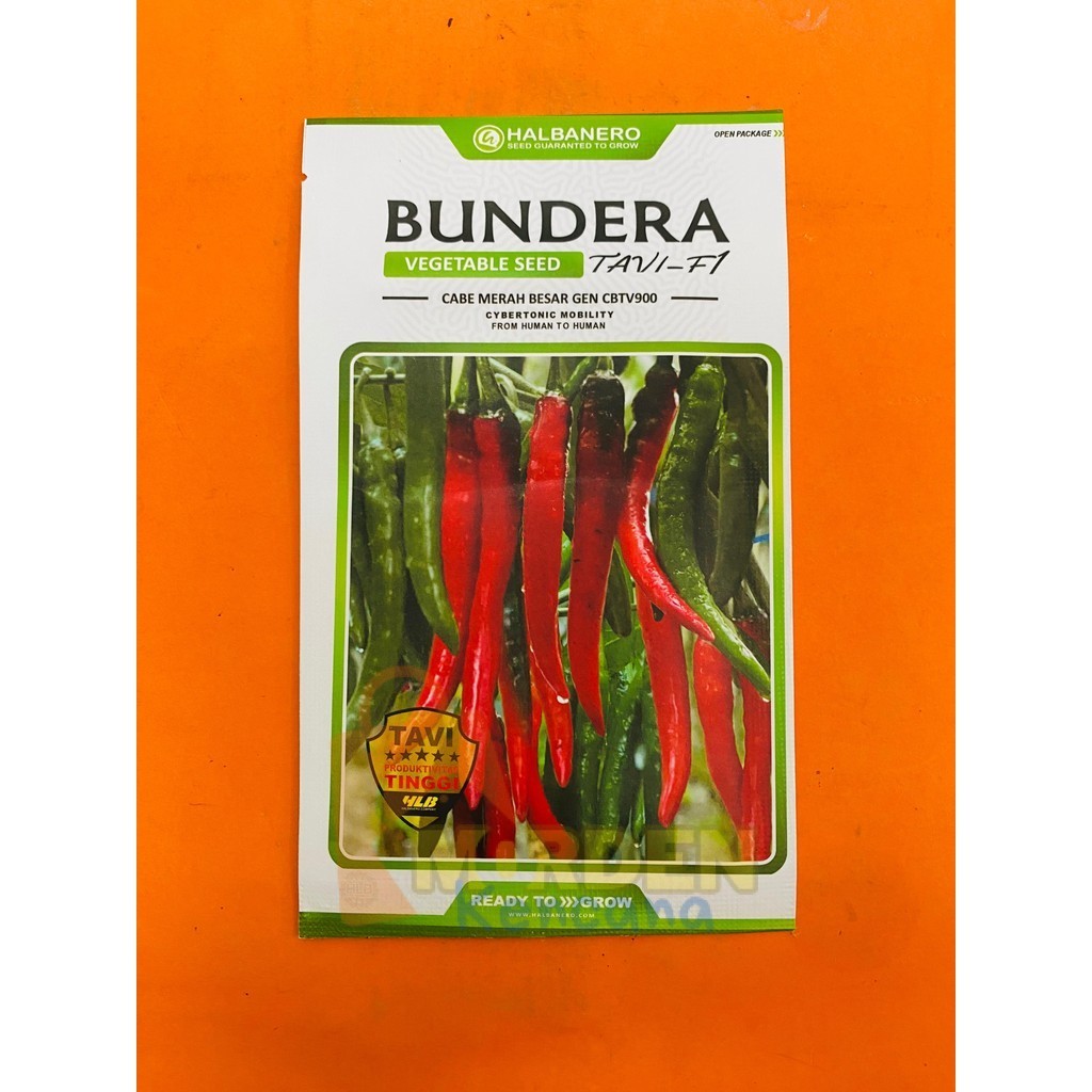 Benih cabai besar gen cbtv900 BUNDERA TAVI F1 isi 1600 biji anti virus dari HALBANERO