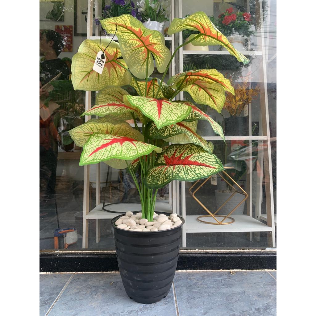 Tanaman Hias Plastik Daun Keladi Artificial Dekorasi Aesthetic