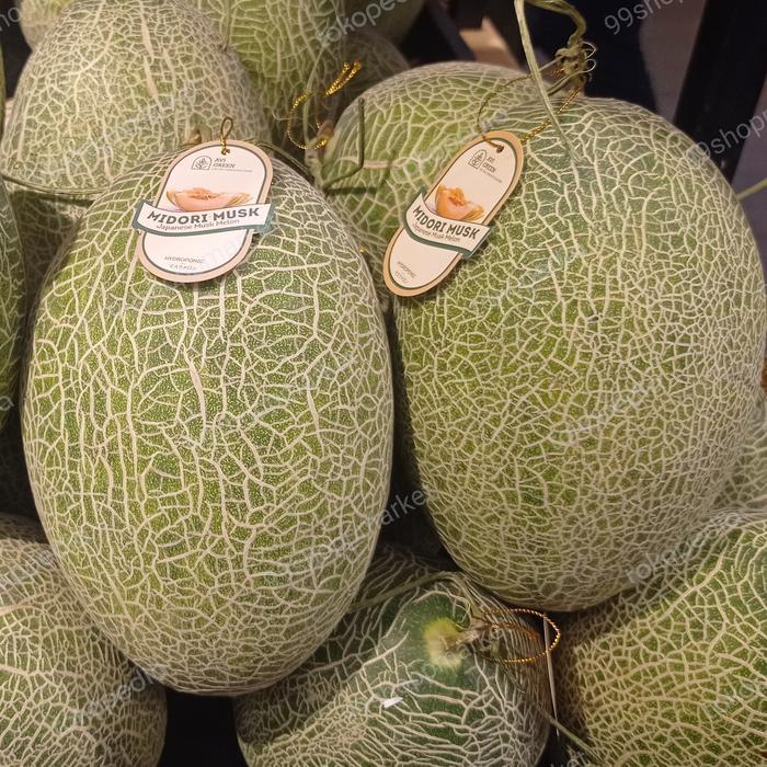 Melon Tuscany midori musk 100% hidroponik / pics