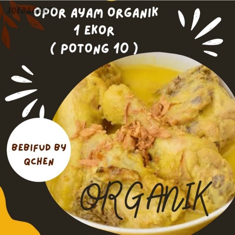 MENU KELUARGA "OPOR AYAM 1 EKOR 10 POTONG" PORSI KELUARGA