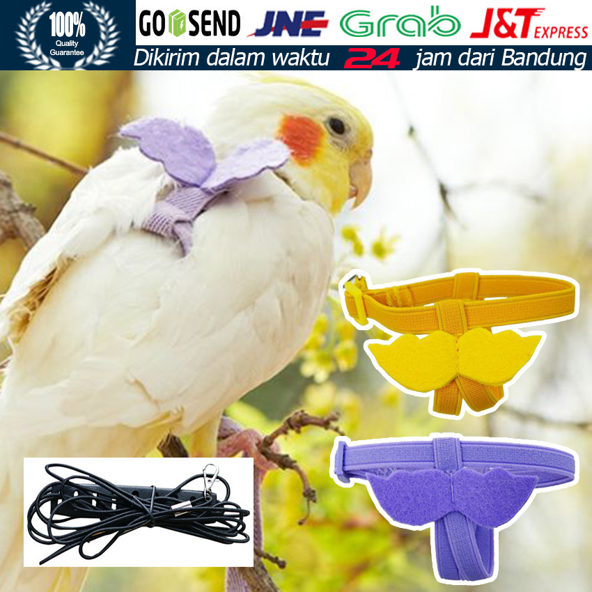 Parrot Harness Burung + Tali 2 Meter / Anti Lepas Nyaman & Aman / Bird Leash Walking Training Cockat