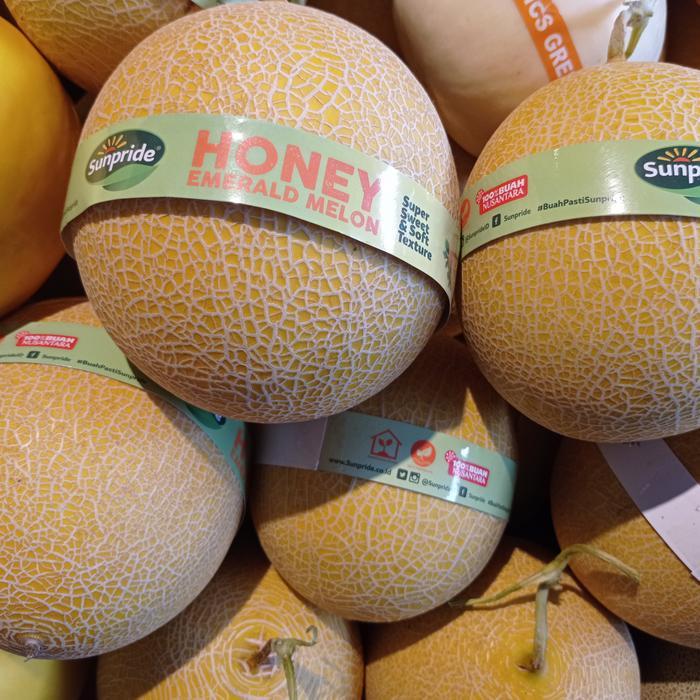 Melon Honey Globe 1.7 kg