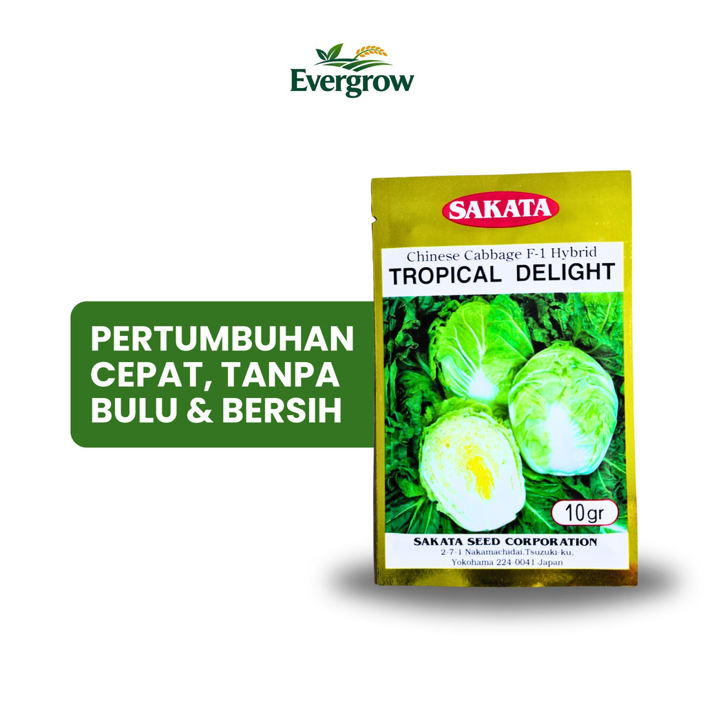 Benih Sawi Putih TROPICAL DELIGHT Sakata – Krop Mulus & Siap Jual