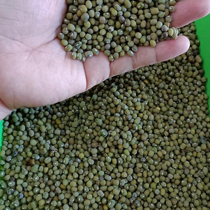 KACANG HIJAU LOKAL TERMURAH 1KG - 1/4kg