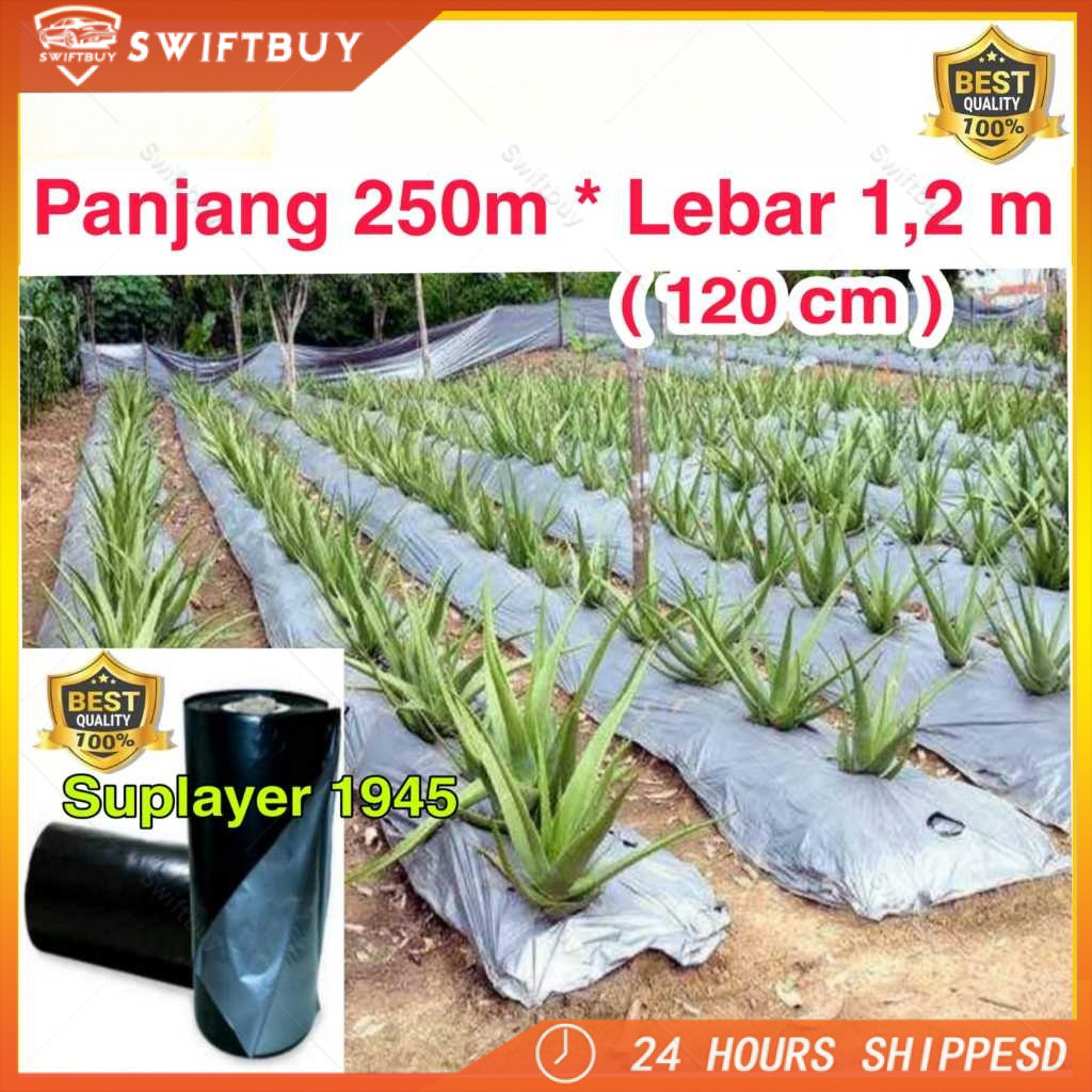 Plastik MULSA 1 ROLL hitam/perak ( Panjang 250 meter x Lebar 1,2 meter ) ROLL
