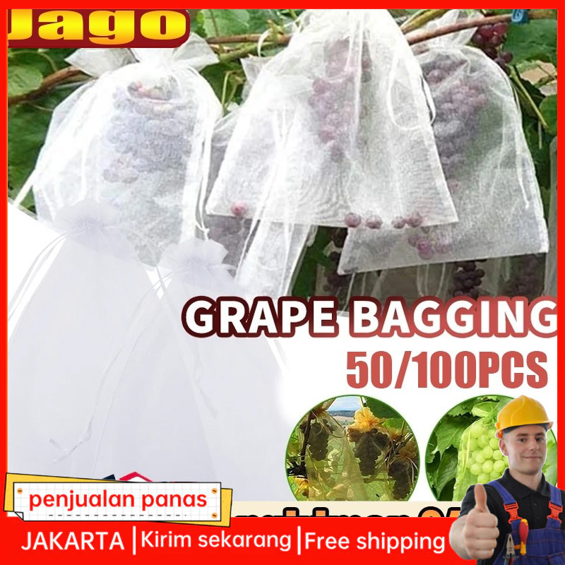 100PCS Fruit Cover/Pembungkus Buah/Fruit Cover Anti Serangga/Fruit cover net jaring transparan pembu