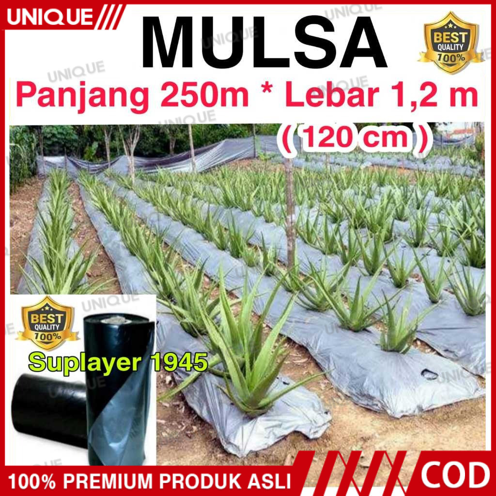 Plastik MULSA 1 ROLL hitam/perak ( Panjang 250 meter x Lebar 1,2 meter ) ROLL