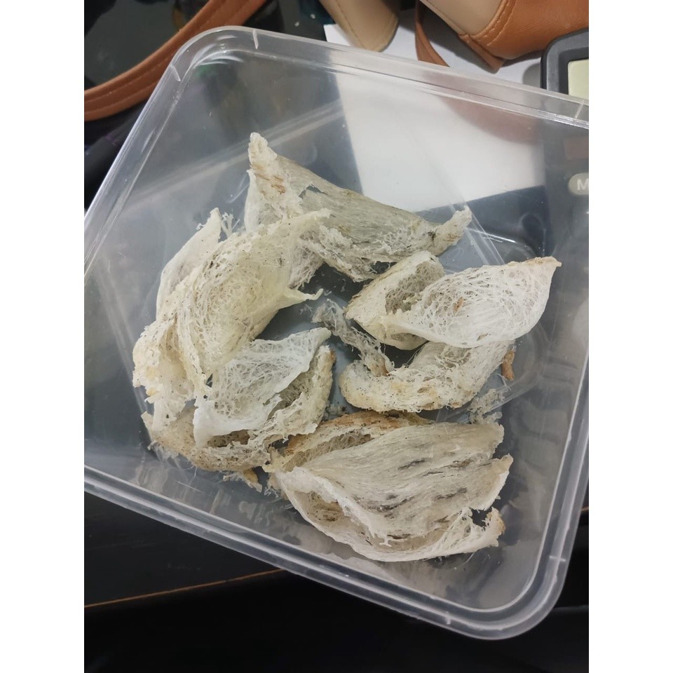 sarang burung walet patahan kotor per gram