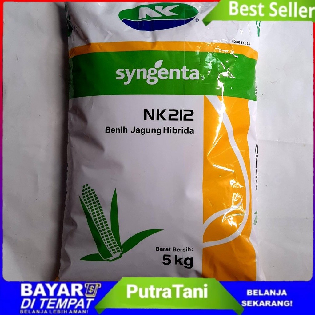 Benih Jagung NK 212 Hibrida Syngenta NK 212 Isi 5 Kg