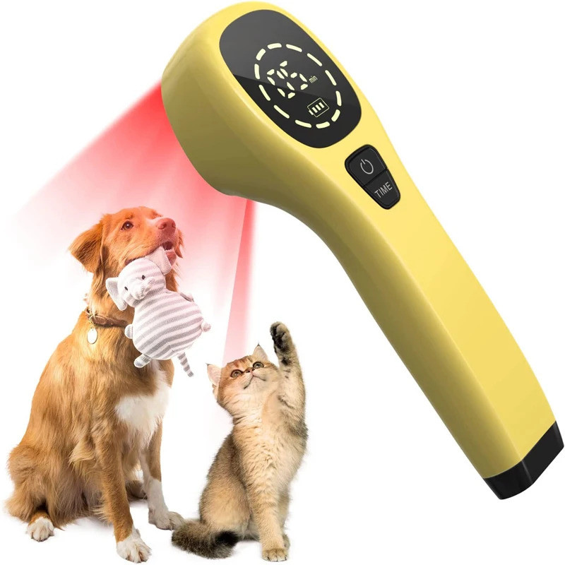 Alat Terapi Laser Cold Laser 808nm Ionic