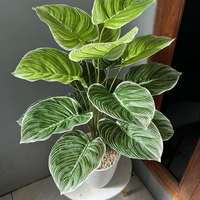 Atap Home TANAMAN PALSU KODE S(sudah termasuk pot) Latex Plastik - -, -