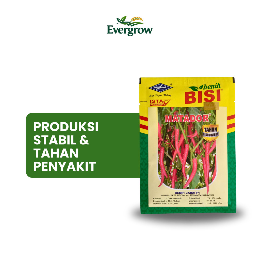 Benih Cabe Besar MATADOR F1 – Produksi Stabil & Tahan Penyakit