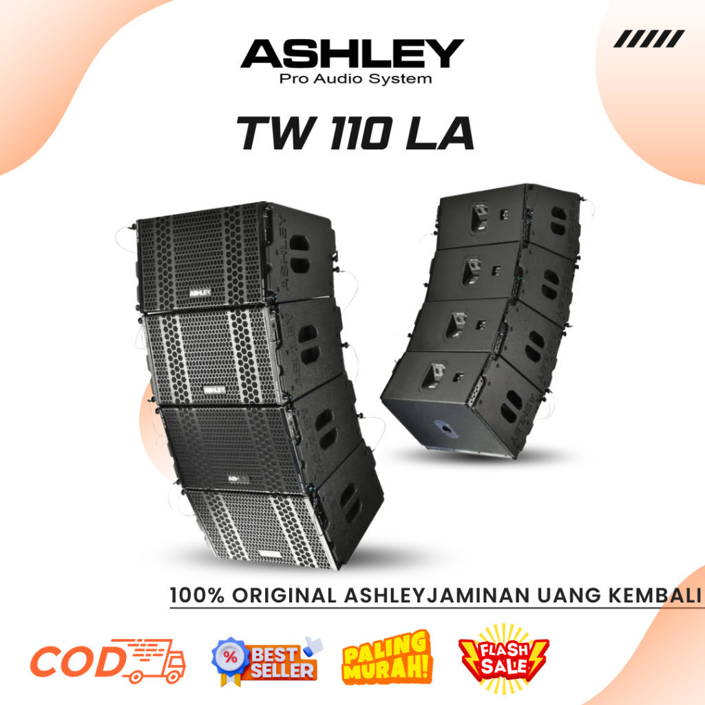 Line Array Ashley TW 110 LA Professional Line Array Speaker