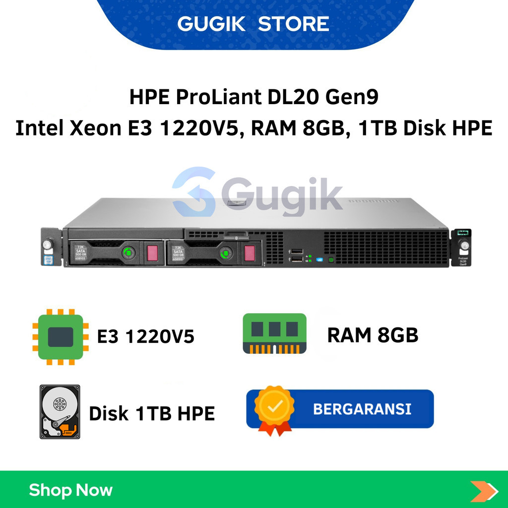 HPE ProLiant DL20 Gen9 Intel Xeon E3 1220V5, RAM 8GB, 1TB Disk HPE