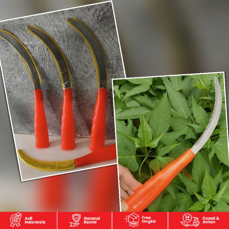 Sabit Baja Tahan Karat/Baja Karbon, Sabit Pemotong Rumput, Sabit Bergerigi Pertanian, Sabit Kecil Be