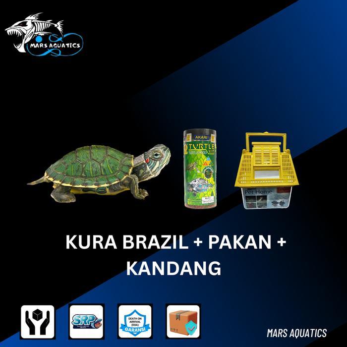 PAKET KURA KURA BRAZIL BABY PLUS KANDANG DAN PAKAN