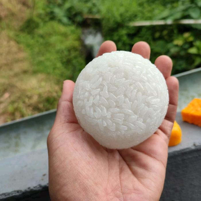 Replika makanan Nasi (1pcs) / dummy makanan / mainan anak / edukasi anak / dekorasi meja makan