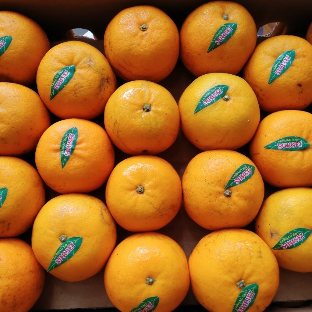JERUK KINO MANDARIN IMPORT 1kg Fresh