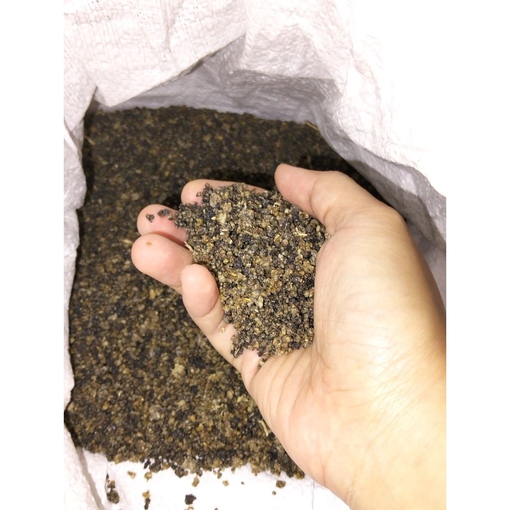 Oyek Singkong Premium Siap Masak