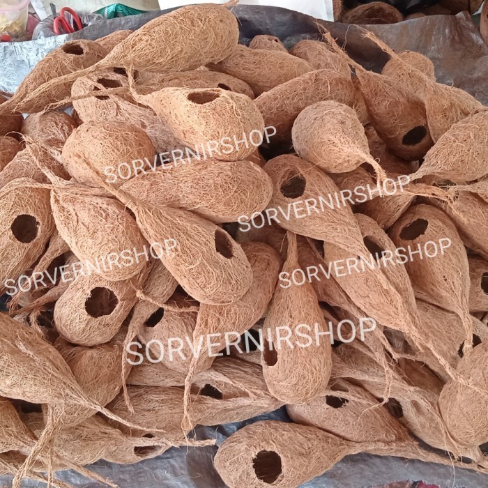 sarang burung lovebird glodok burung murai parkit manyar sarang telur (Sovenirstore)