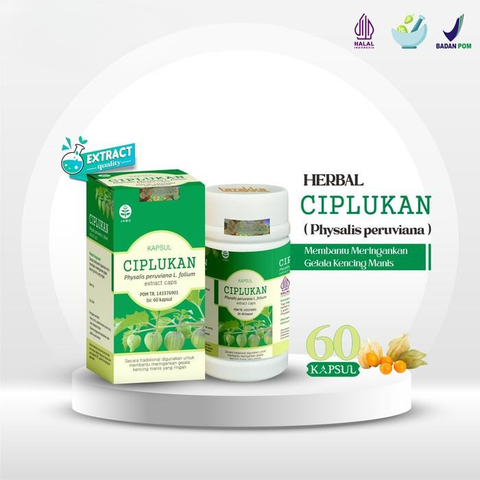 Tazakka Kapsul Daun Buah Ciplukan Original Halal BPOM Obat Diabetes