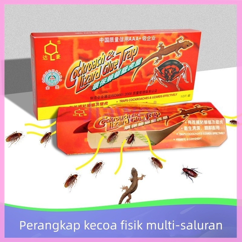 Jiawei Perangkap rumah kecoa, rumah tokek, jerat rumah kecoa
