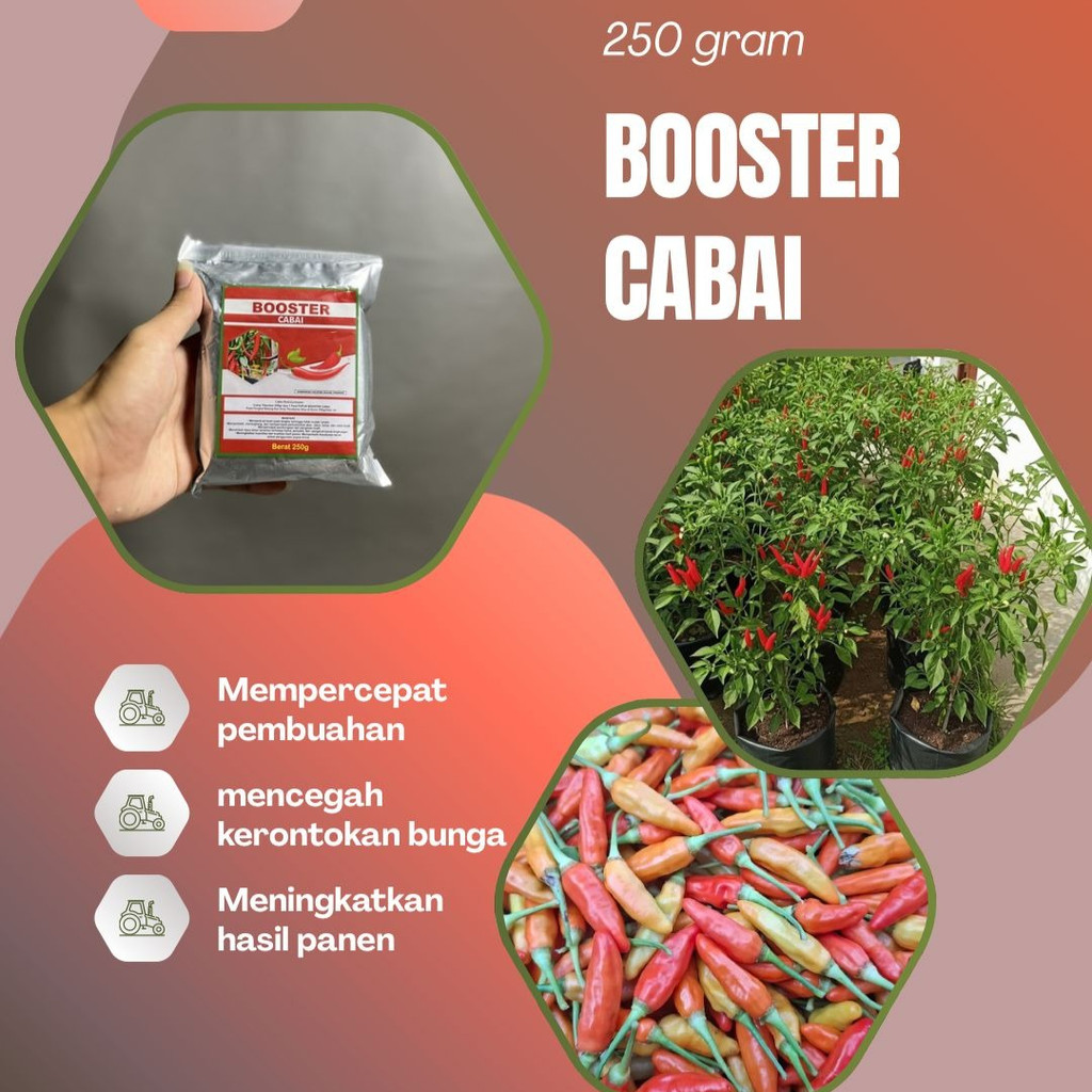 Pupuk Organik Cabe Booster Pelebat Cabai Serbuk Terbaik Agar Cepat Berbuah lebat dan besar perangsan