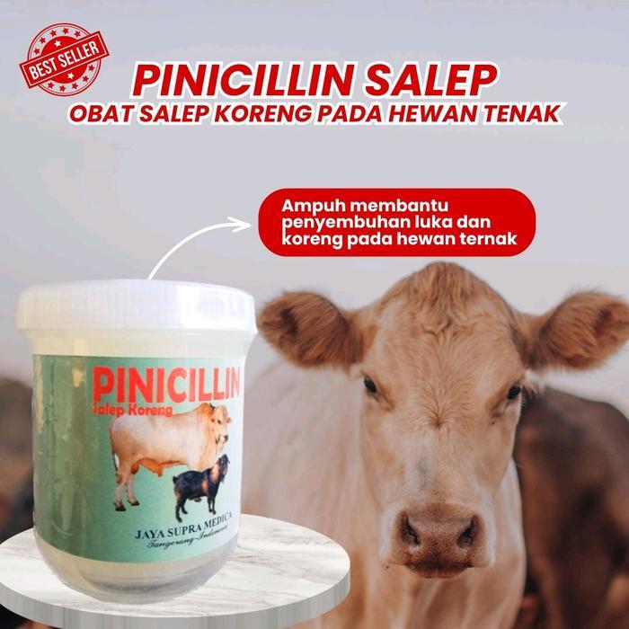 PINISILIN SALEP OBAT KORENG BUAT HEWAN obat jamur kucing kututox