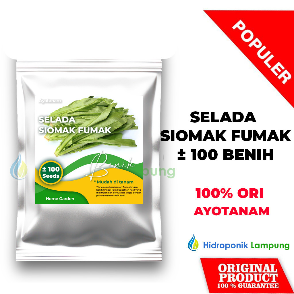 AYOTANAM Benih Selada Siomak Fumak ± 100 Benih