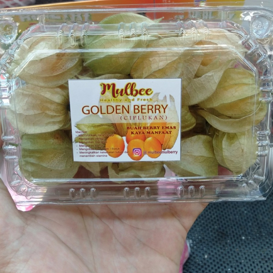 buah ciplukan golden berry | pack