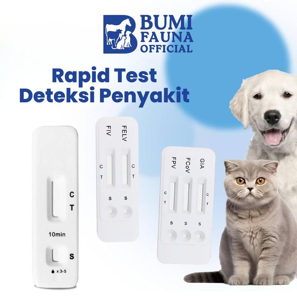 Rapid Test Kehamilan Sapi Lembu Bovine Pregnancy PAGS Alat Tes Deteksi Hamil