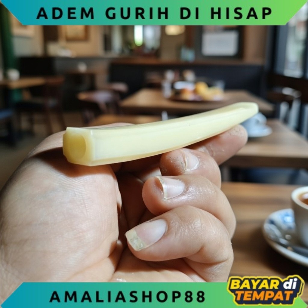 ONCE TULANG UNTA IMPORT GURIH PULEN