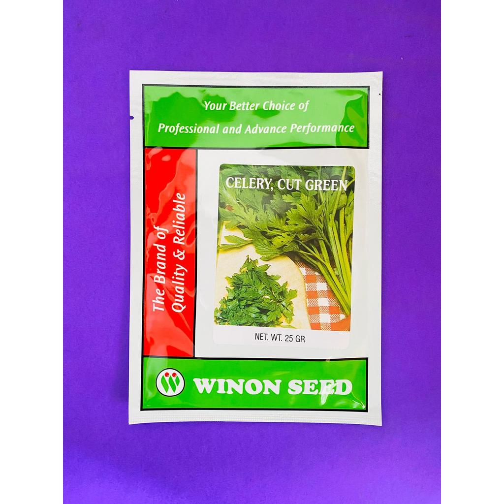 Benih seledri CELERY CUT GREEN batang tangkai kokoh isi 25gr dari WINON SEED