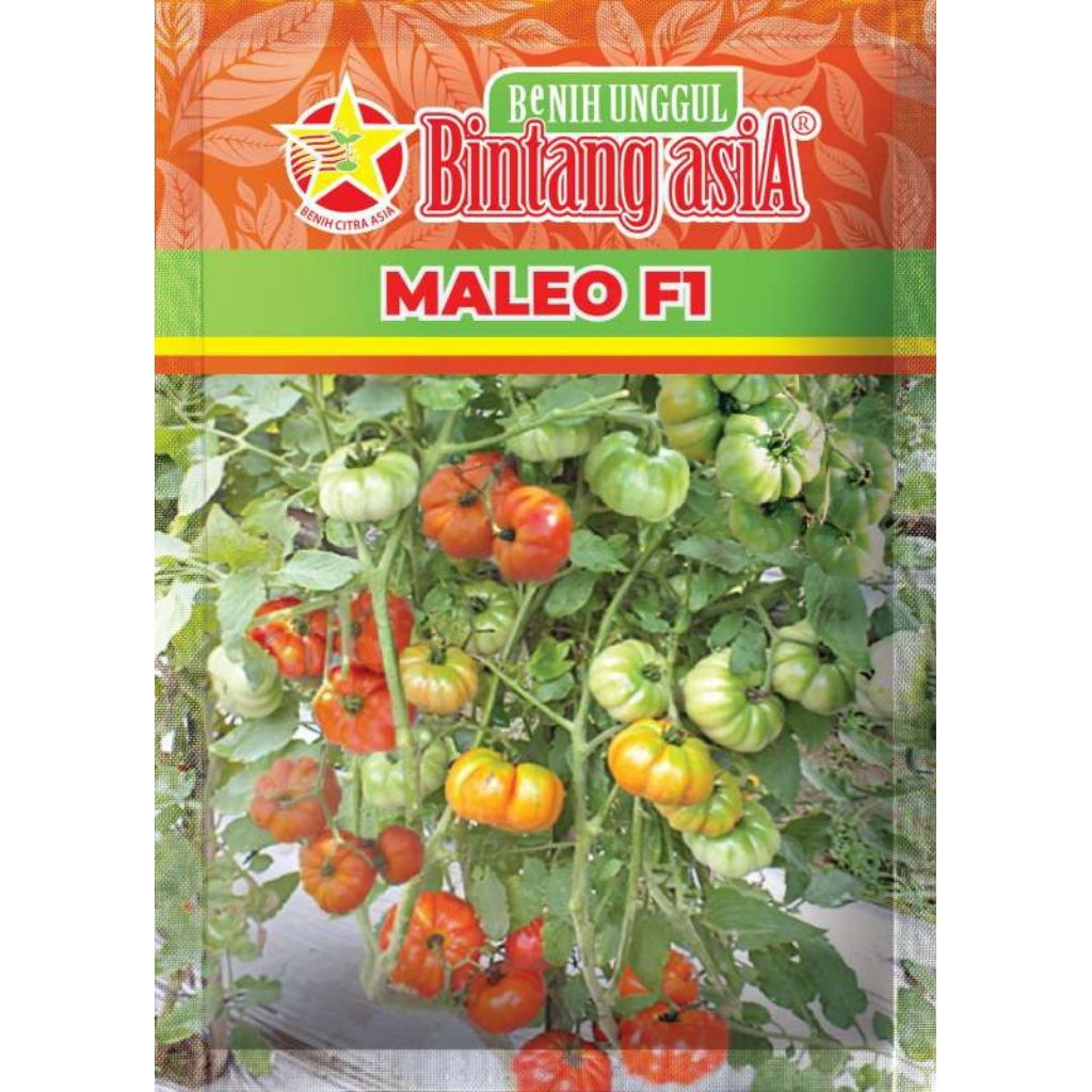 Benih Tomat Unggul MALEO F1 kemasan 5gr buah lebat tahan virus cocok untuk dataran rendah