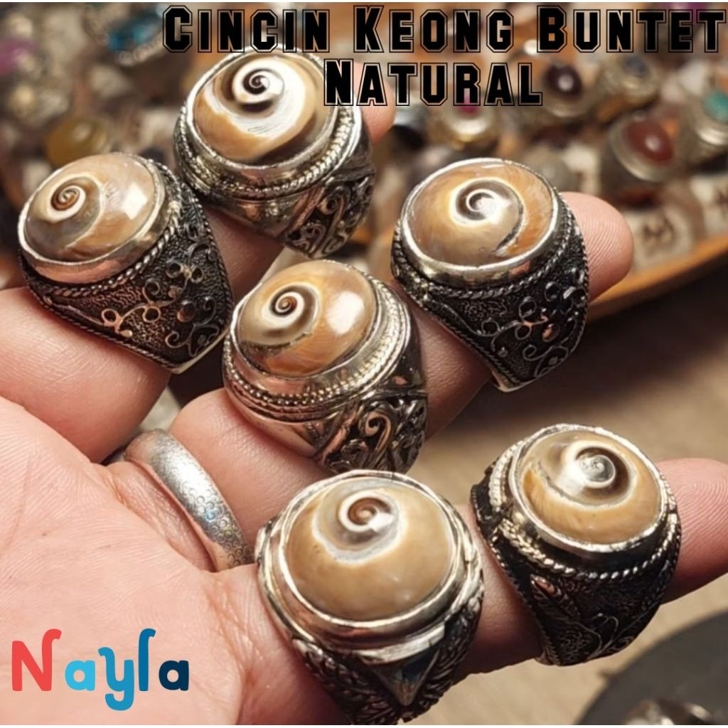 Cincin Keong Kul Buntet Asli Coklat Alam / Cincin Keong Puser Bumi