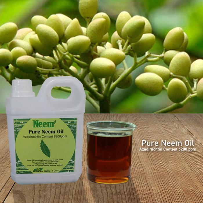 Neem Oil