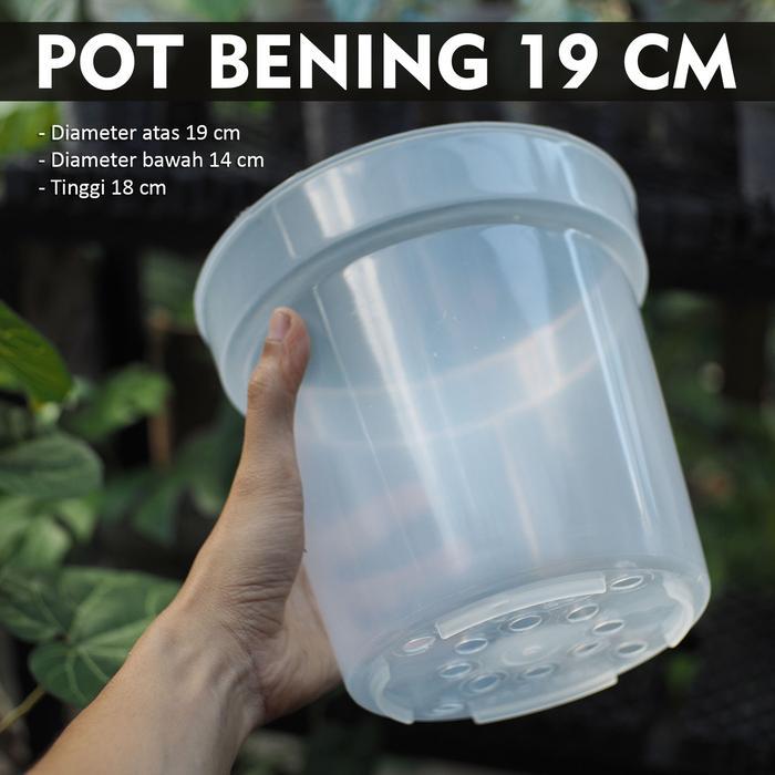 Pot Bening Plastik 19cm - Pot Bening Tinggi - Pot Bening Transparan - Tanpa L Samping
