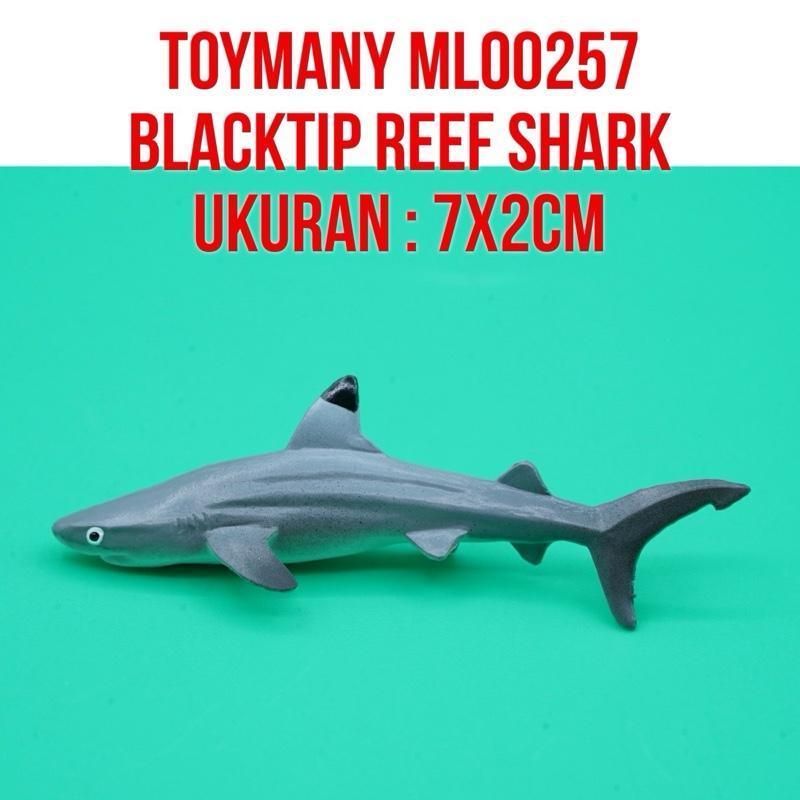 ToyMany Mini ML00257 | BlackTip Reef Shark Ikan Hiu Karang Sirip Hitam Carcharhinus | Ukuran 7 x 2Cm