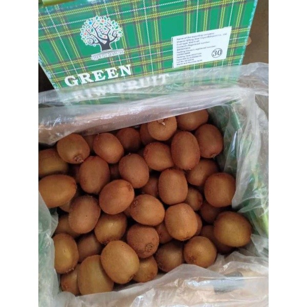 Buah kiwi hijau / green kiwi 1kg fresh