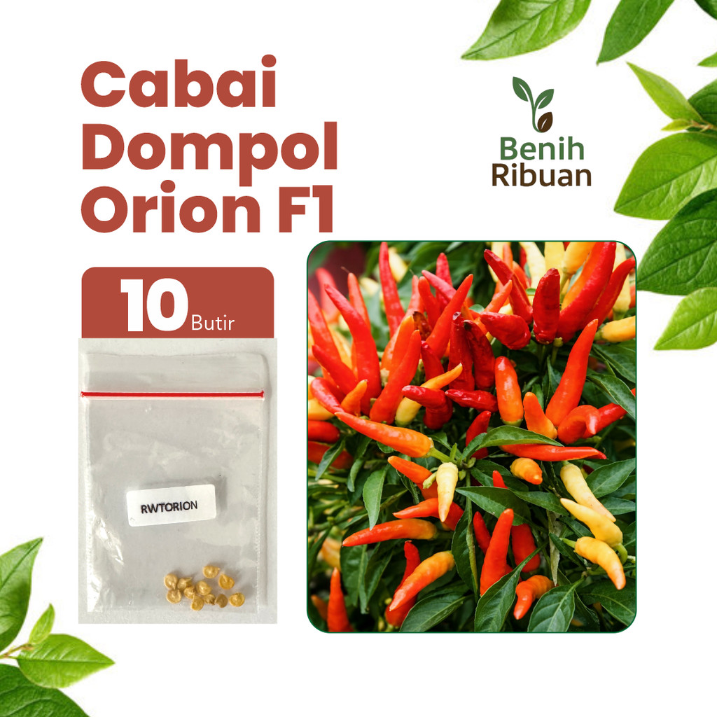 BENIH RIBUAN - Benih Cabai Rawit Dompol Orion Unggul, Bibit Cabe Rawit Orion F1 Super Pedas