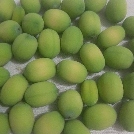 BIJI BUNGA TERATAI LOTUS SEGAR SUDAH DI KUPAS 1KG